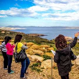 De Atenas: Visita guiada ao Templo de Poseidon e ao Cabo Sounion
