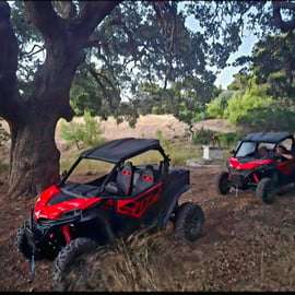 Atenas: aventura todoterreno en buggy por la costa y la montaña