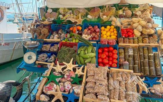 Atenas: Cruzeiro de dia inteiro a Hydra, Poros e Aegina com almoço