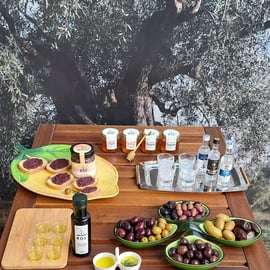 Aventura de comida callejera en Atenas (15 degustaciones)