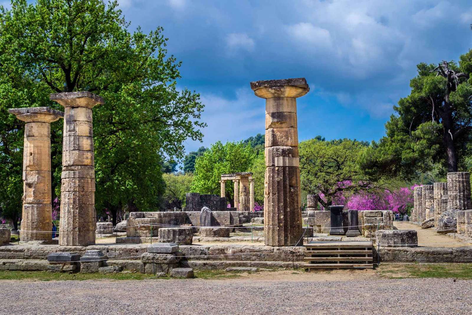 Desde Atenas: tour guiado de un día por la antigua Olimpia