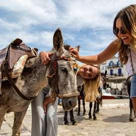 Atenas: Crucero de un día a Hidra, Poros y Egina con almuerzo