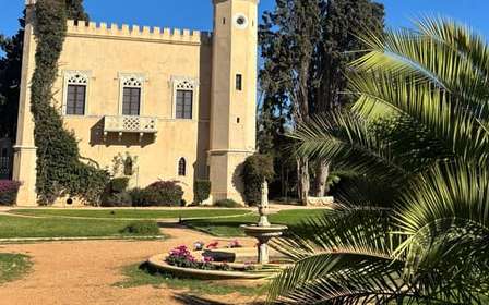 Atenas: tour de vinhos em Atenas com degustação numa adega local