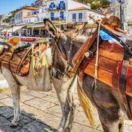 De Atenas: Cruzeiro de um dia em Hydra, Poros e Aegina com almoço