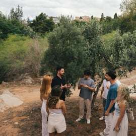 Atenas: tour por la almazara con cata de aceite y refrigerios