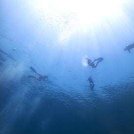 Atenas: Aventura de mergulho com snorkel na Riviera