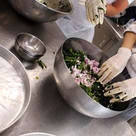 Atenas: Aula de cozinha grega e jantar num telhado