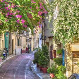 Desde el puerto del Pireo: tour de la ciudad de Atenas con Acrópolis y Plaka