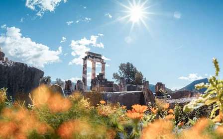 Atenas: Viagem de 1 dia a Delfos, Caverna de Córius e Campo de Batalha 300