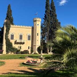 Atenas: tour de vinhos em Atenas com degustação numa adega local
